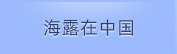 PNG电子在中国