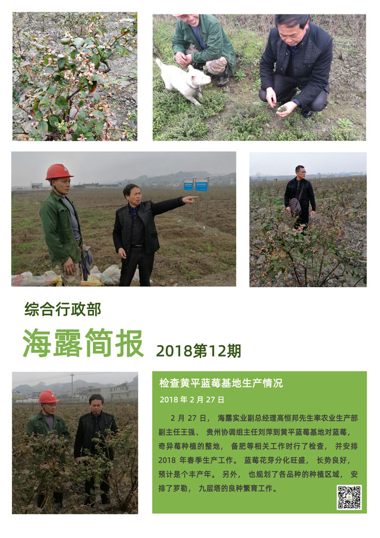 首页 - PNG电子官方网站