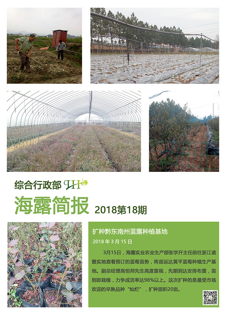 首页 - PNG电子官方网站