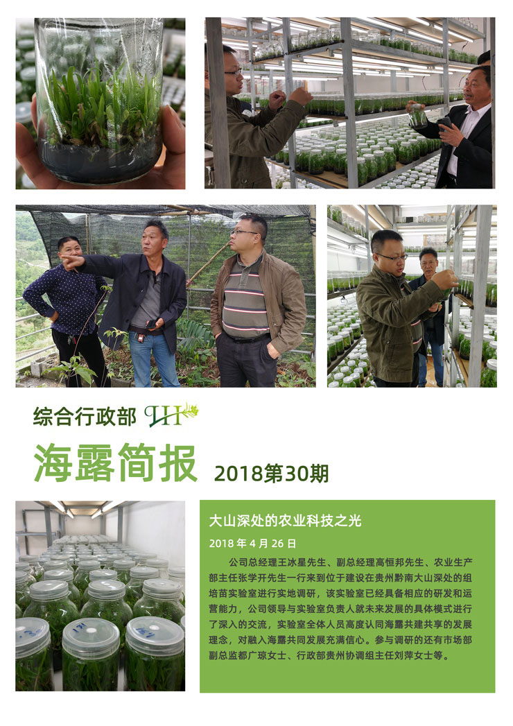 首页 - PNG电子官方网站