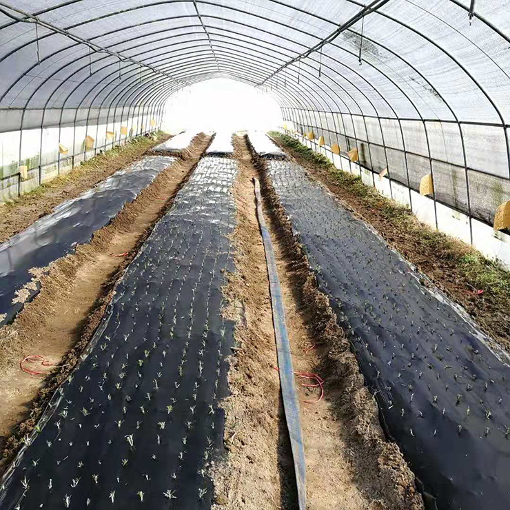 首页 - PNG电子官方网站