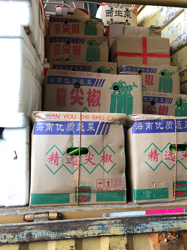 首页 - PNG电子官方网站