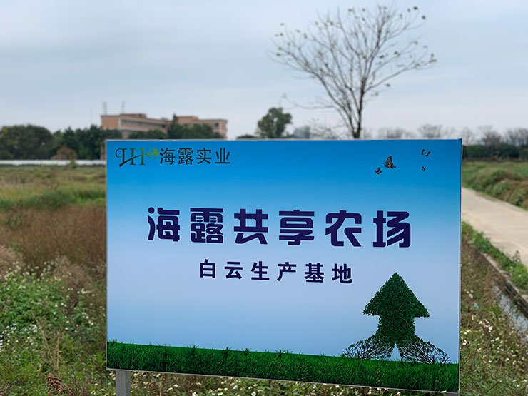 首页 - PNG电子官方网站