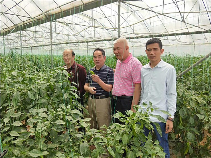 首页 - PNG电子官方网站