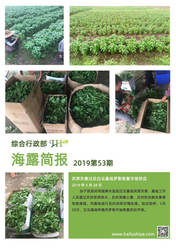 首页 - PNG电子官方网站