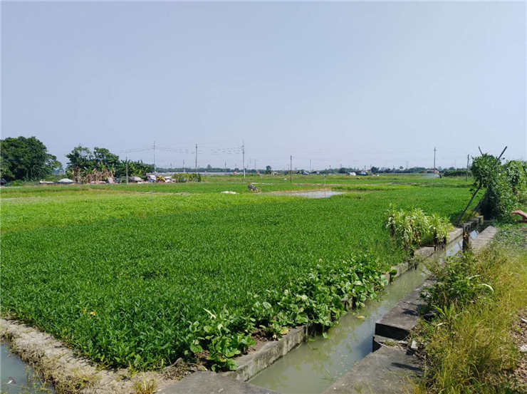 首页 - PNG电子官方网站