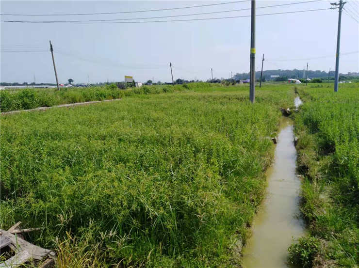 首页 - PNG电子官方网站