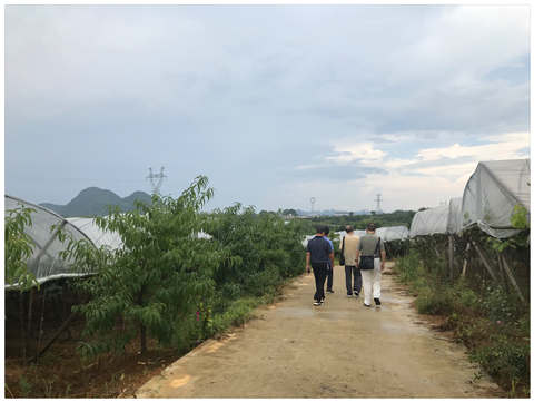 首页 - PNG电子官方网站