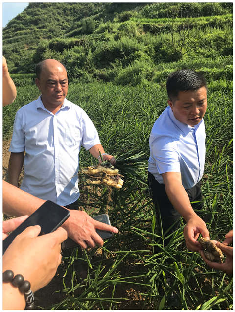 首页 - PNG电子官方网站