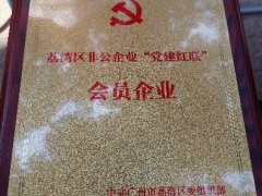 PNG电子实业党支部入选首批荔湾区“党建红联”会员企业