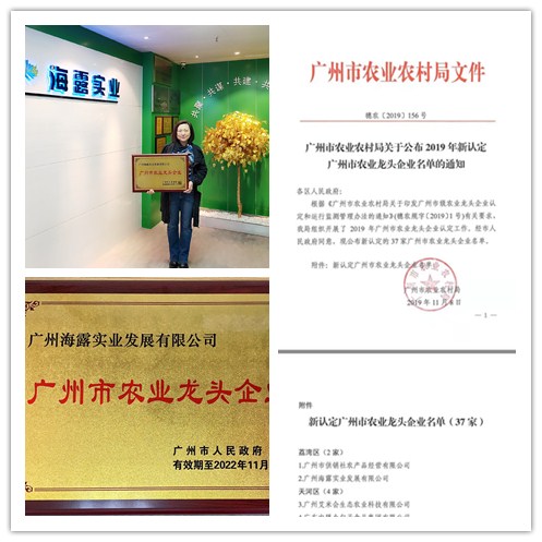 首页 - PNG电子官方网站