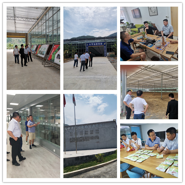 首页 - PNG电子官方网站