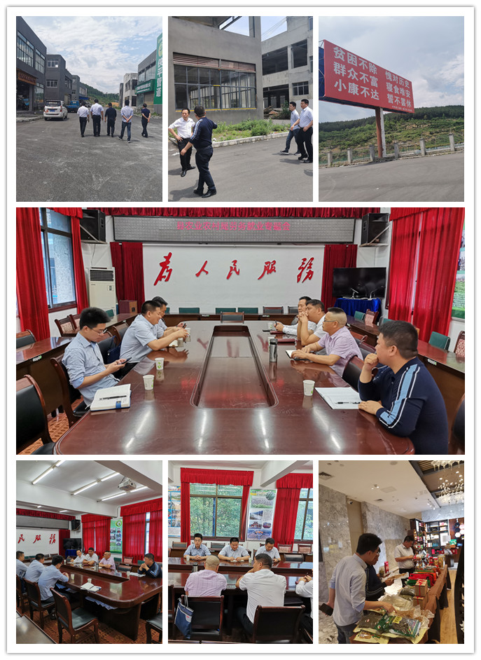 首页 - PNG电子官方网站