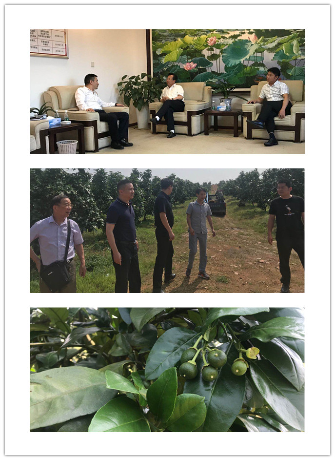 首页 - PNG电子官方网站