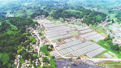 1-200S1101113244 首页 - PNG电子官方网站