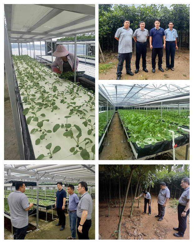首页 - PNG电子官方网站