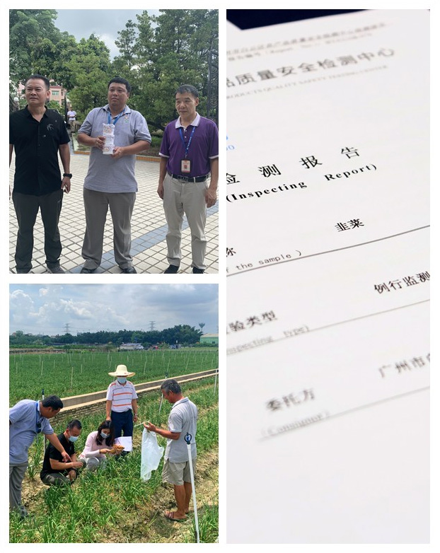 首页 - PNG电子官方网站