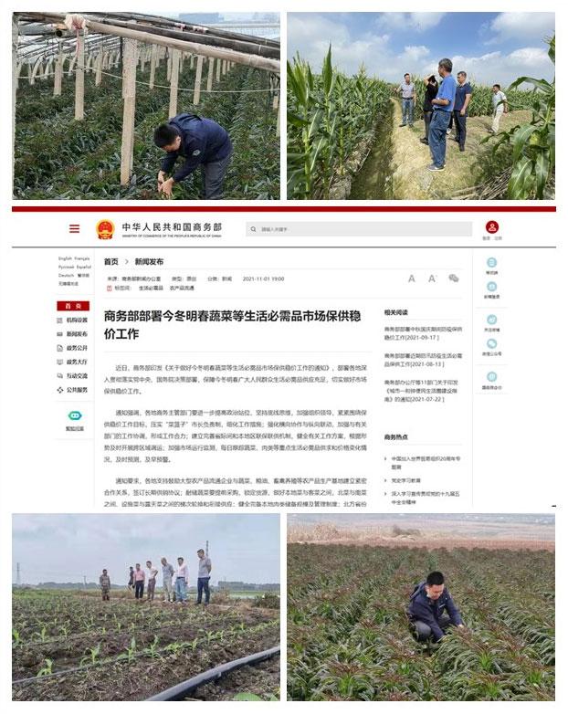 首页 - PNG电子官方网站