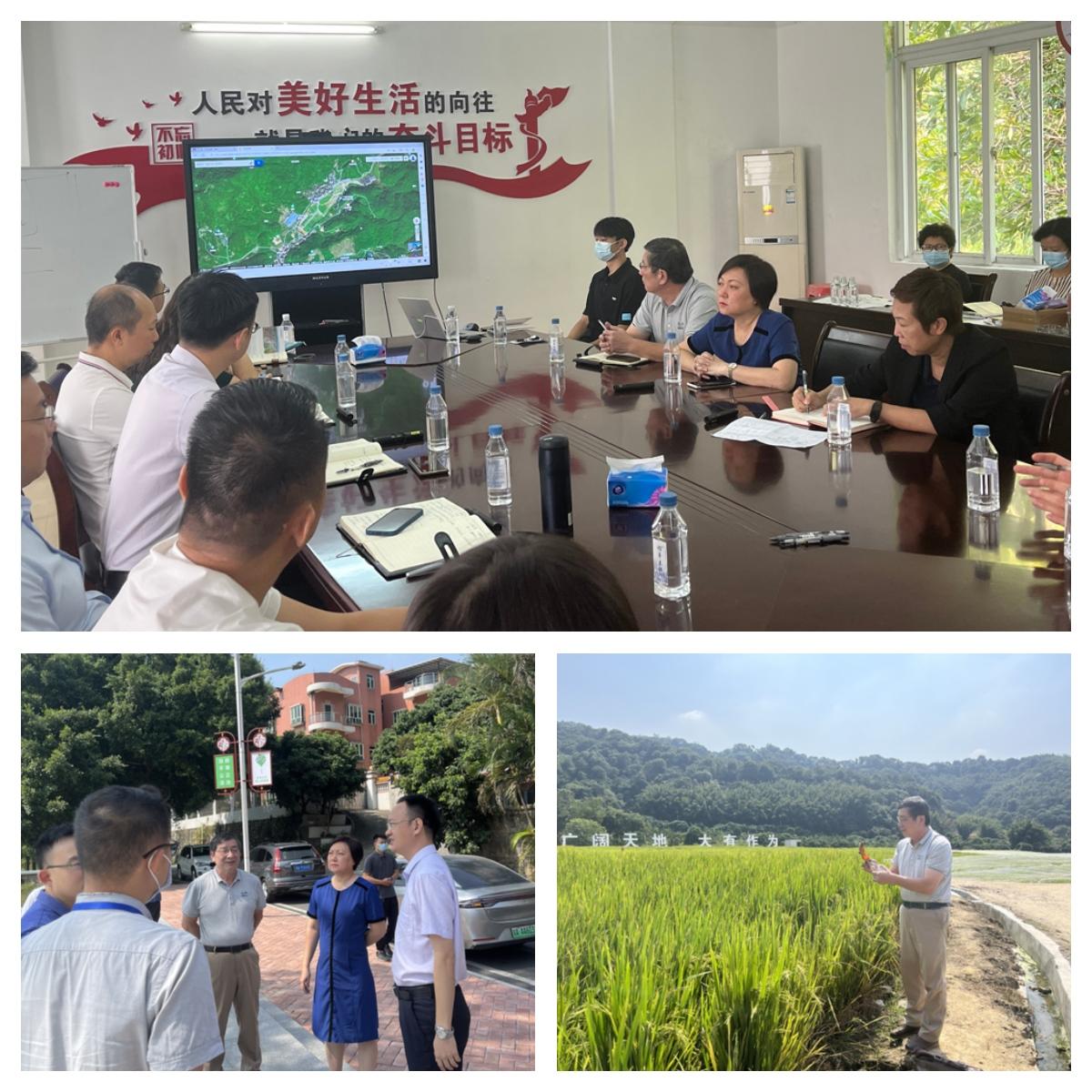 首页 - PNG电子官方网站