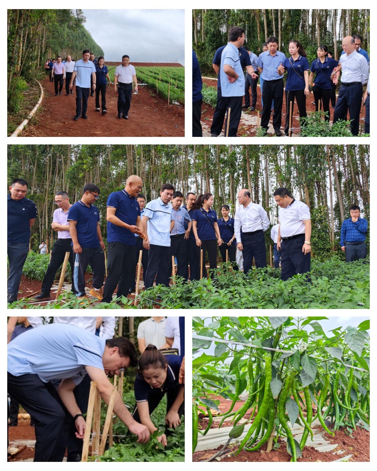 首页 - PNG电子官方网站