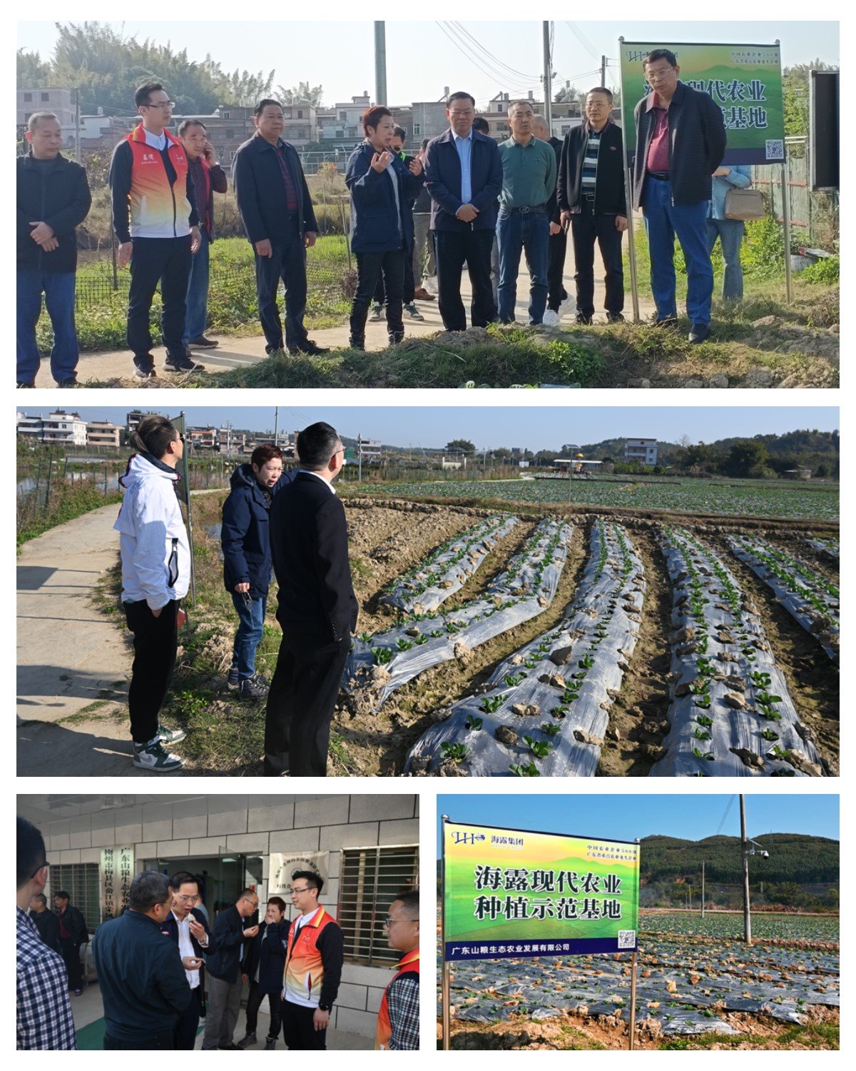 1-230223144S5454 首页 - PNG电子官方网站