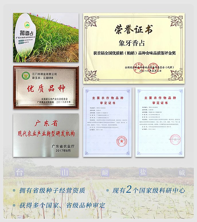 首页 - PNG电子官方网站