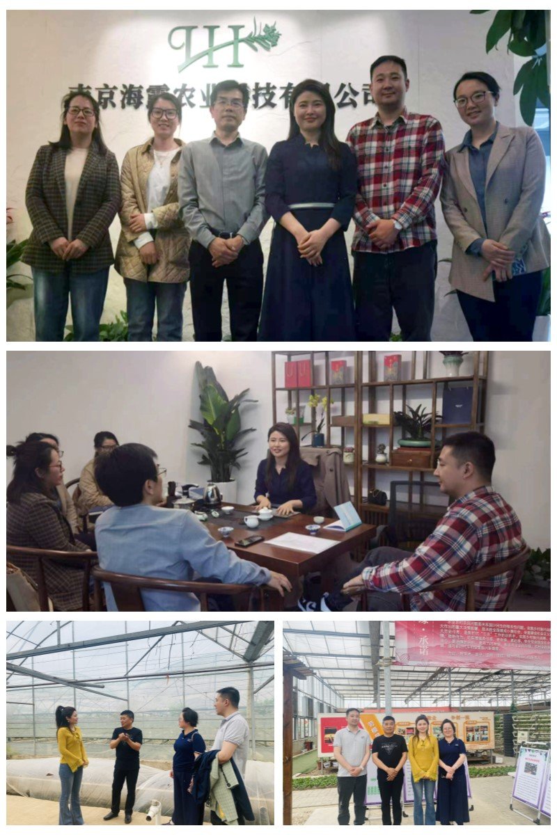 1-230414152406439 首页 - PNG电子官方网站