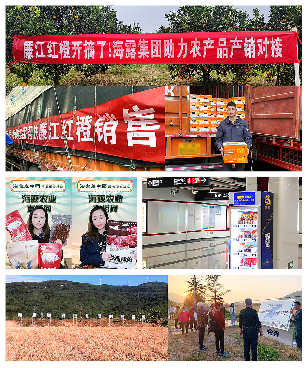 1-2401031QG3L6 首页 - PNG电子官方网站