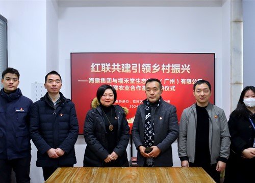 红联共建引领村落振兴，党建促业务深度融合