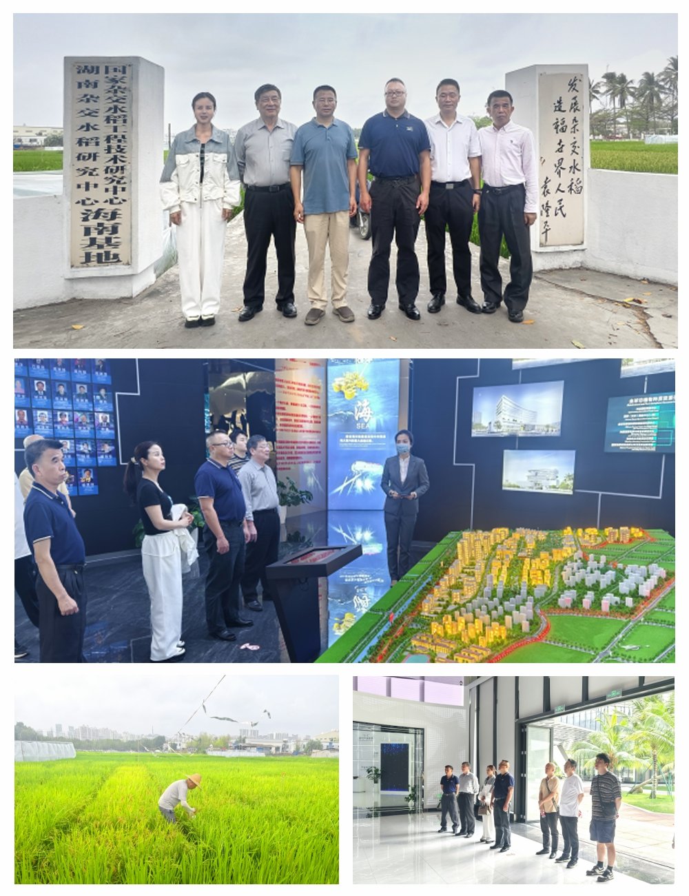 1-24031P93210I4 首页 - PNG电子官方网站