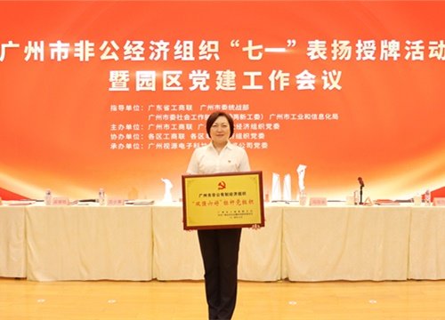标杆引领，荣誉升级！集团党支部荣膺广州市非公有造经济组织“双强六好”标