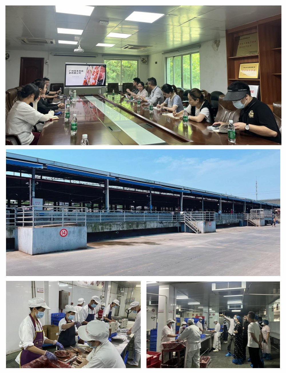 1-240HQ5040D10 首页 - PNG电子官方网站