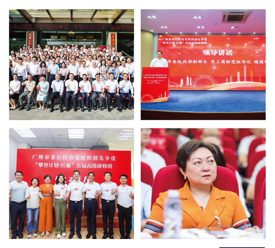 1-241015095Zc11 首页 - PNG电子官方网站