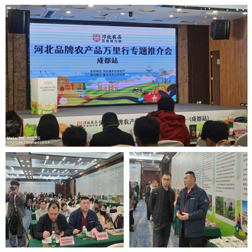 1-24102416292DM 首页 - PNG电子官方网站