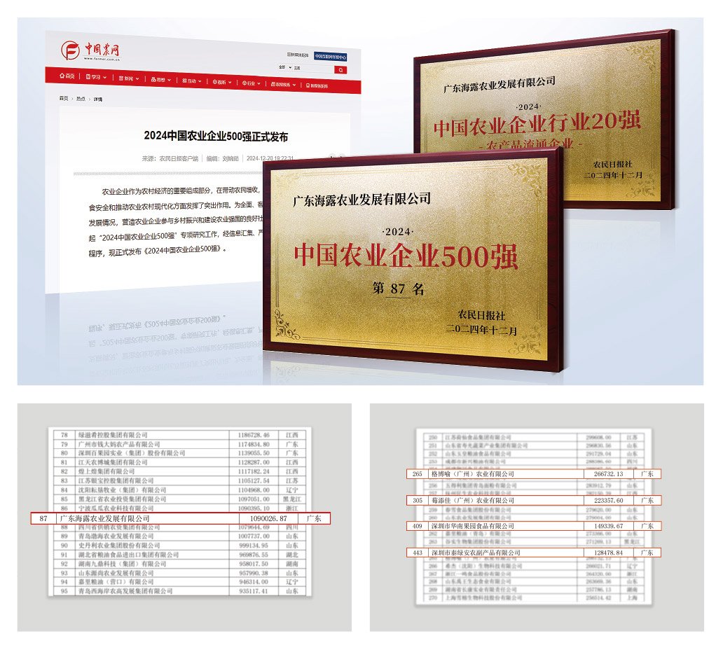 首页 - PNG电子官方网站