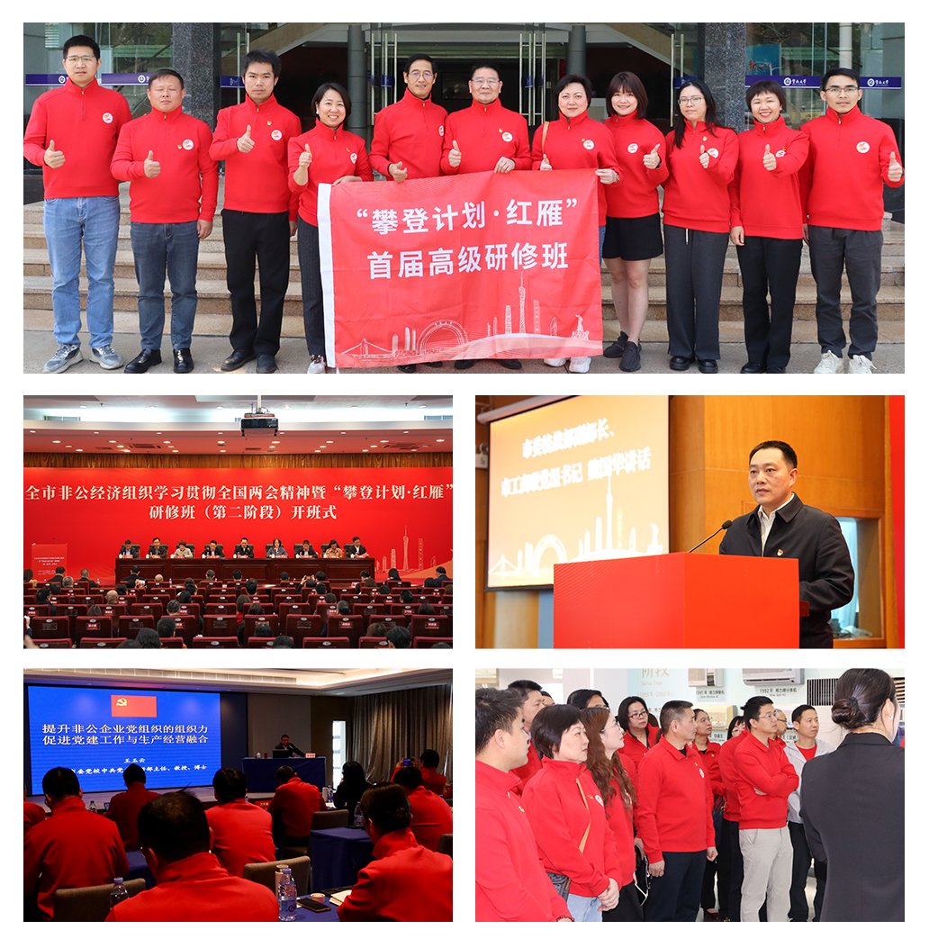 1-250324153352132 首页 - PNG电子官方网站