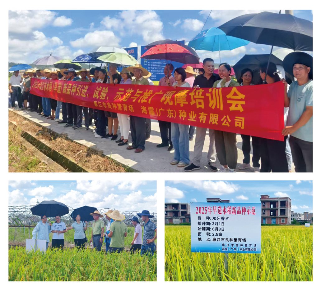 首页 - PNG电子官方网站