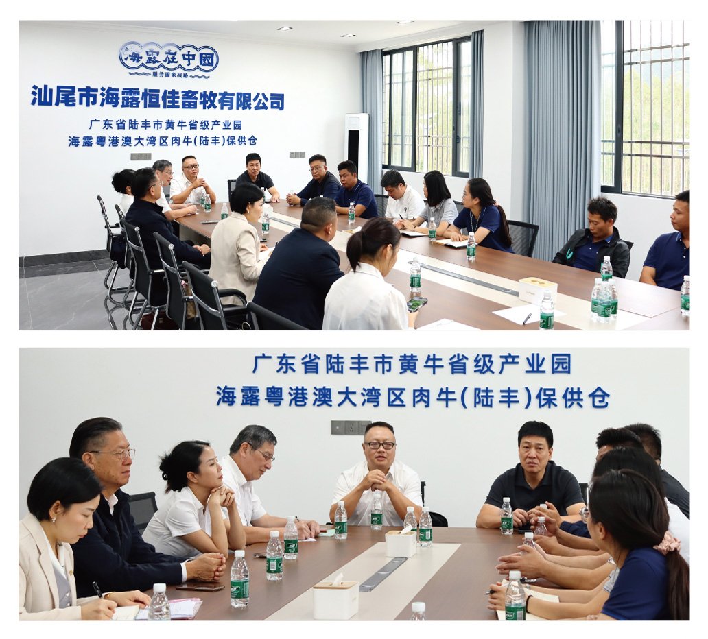首页 - PNG电子官方网站