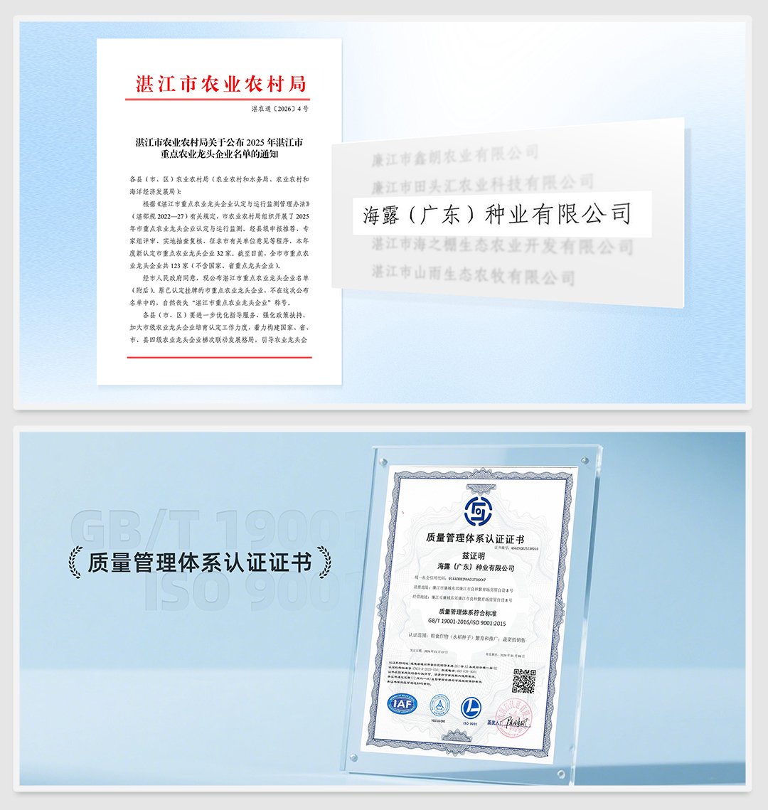 首页 - PNG电子官方网站