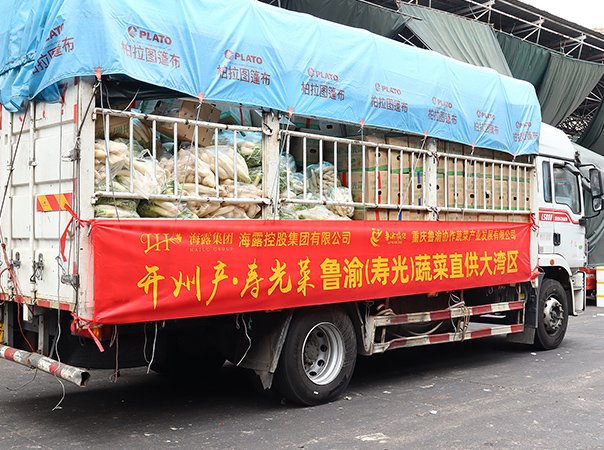 渠路赋能，集团助力沉庆开州蔬菜首发直供大湾区